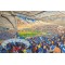 Amex Stadium Fine Art Print - Brighton & Hove Albion FC